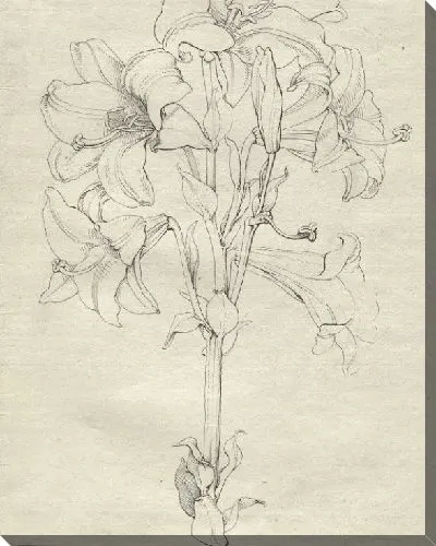 Картина Стебель лилий с шестью цветами