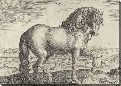 Картина Лошадь из Фрисландии