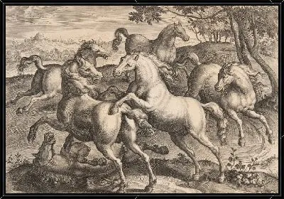 Картина Боевые Лошади, из четвертого сета «Equile Joannis Austriaci»