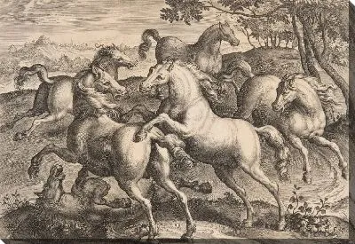 Картина Боевые Лошади, из четвертого сета «Equile Joannis Austriaci»