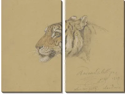 Картина Голова тигра