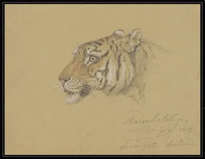 Голова тигра