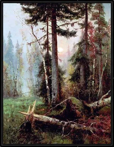 Картина Дебри (Wilds)