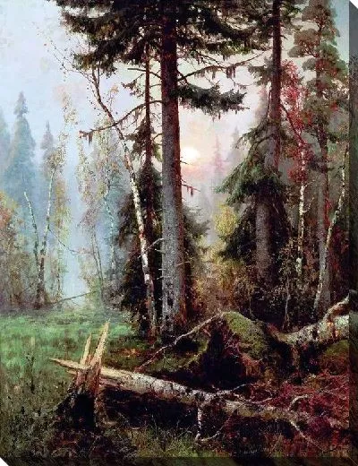 Картина Дебри (Wilds)