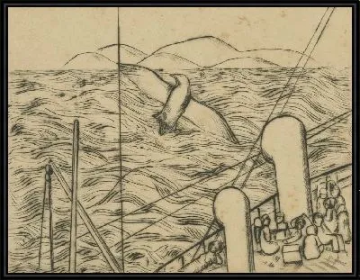 Чайка и море