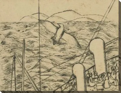 Чайка и море