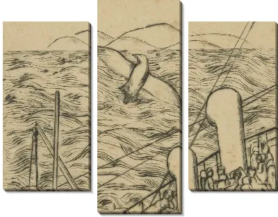 Чайка и море