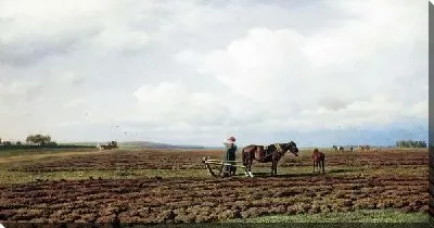 Картина На пашне (Ploughing)