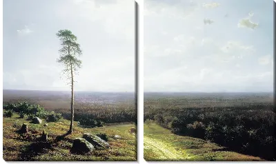 Картина Лесная даль в полдень (Forest distance in the afternoon)