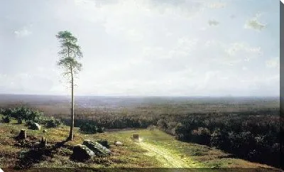 Лесная даль в полдень (Forest distance in the afternoon)