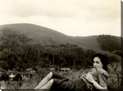 Картина Люси Читти Феррейра