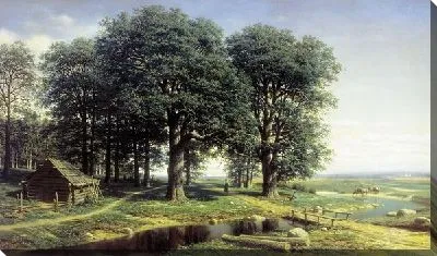 Дубовая роща (Oak grove)