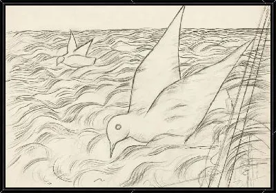 Чайки и море