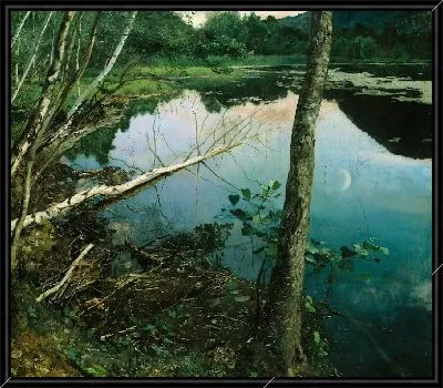 Летняя ночь