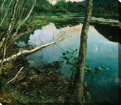 Летняя ночь