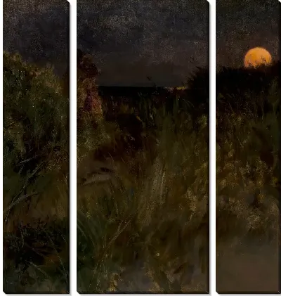 Восход луны над дюнами