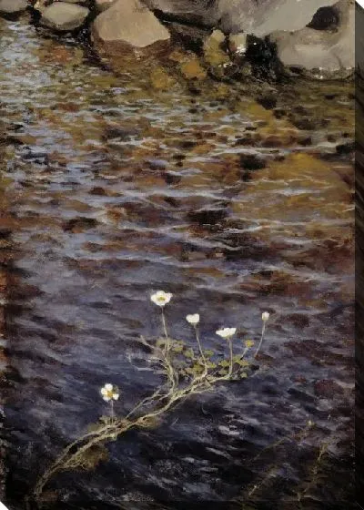 Картина Водоем Crowfoot