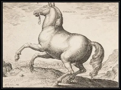 Картина Французская лошадь, из первого набора "Equile Joannis Austriaci"