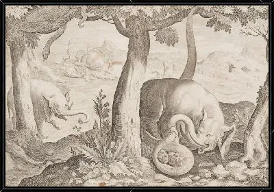 Бой между слонами и змеями, тарелка 2 от диких зверей, птиц, рыбных серий