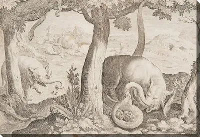 Бой между слонами и змеями, тарелка 2 от диких зверей, птиц, рыбных серий