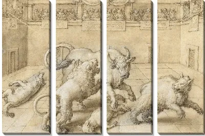 Бой на арене между быком, львом, медведем и двумя волками