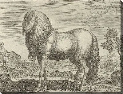 Картина Лошадь из Румынии (Дакус)