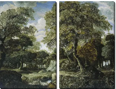 Лесной пейзаж