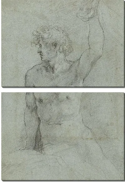 Картина Обнаженное исследование сидящего молодого человека