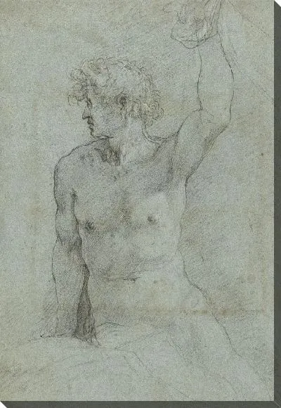 Картина Обнаженное исследование сидящего молодого человека