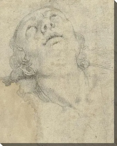 Картина Голова сенсационного человека