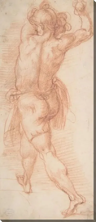 Картина Фигура человека, бросающего камни (ректо); Изучение человека (?) (Verso)