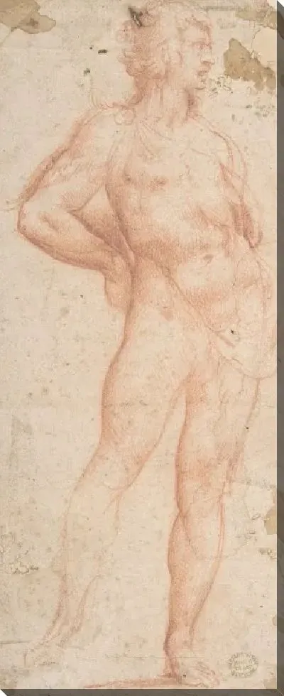 Картина Стоящий Обнаженный (Вакх)