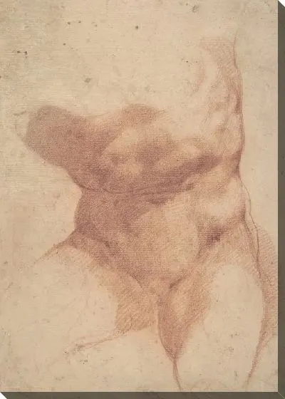 Картина Этюд после бельведерского торса