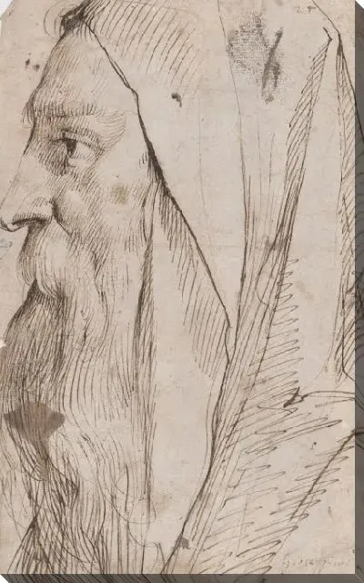 Картина Голова бородатого мужчины в капюшоне в профиль влево