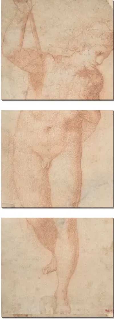 Картина гермафродит