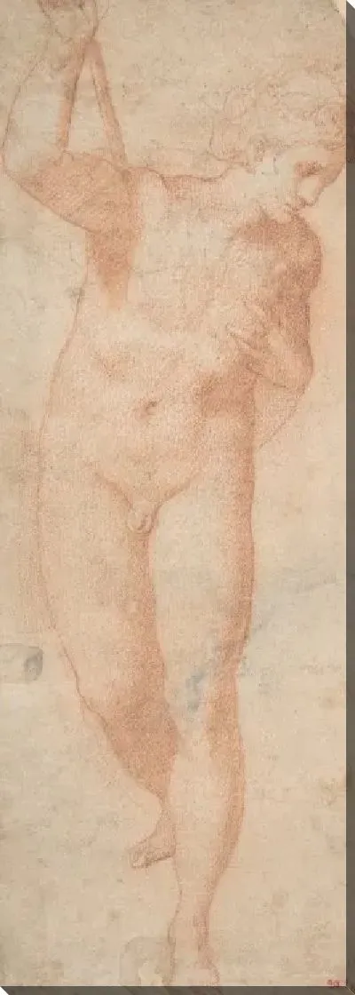 Картина гермафродит