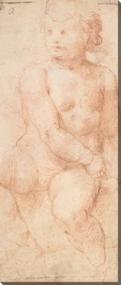 Картина Исследование сидящего путто, смотрящего на него справа (ректо) Женская голова, этюд после античности (на обороте)