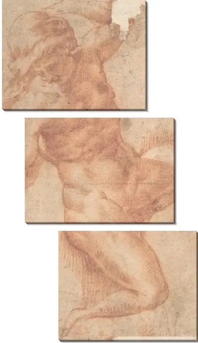 Картина Этюд обнаженного мужчины