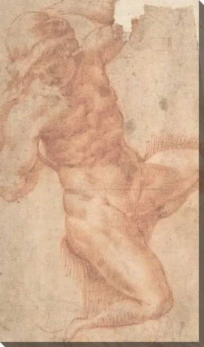 Картина Этюд обнаженного мужчины