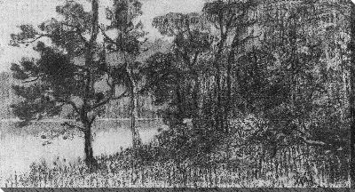 Картина Речной пейзаж №30