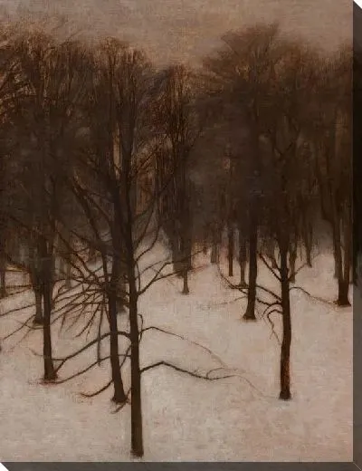 Картина Сёндермаркен Парк зимой