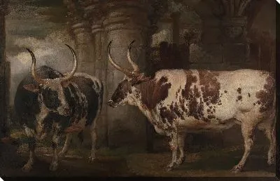 Картина Портреты двух необыкновенных волов, собственность графа Повиса