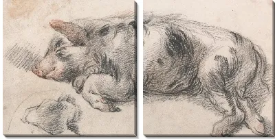 Картина Спящая Свинья