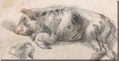 Картина Спящая Свинья