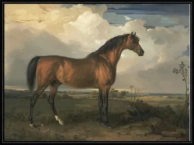 Орел, знаменитый жеребец