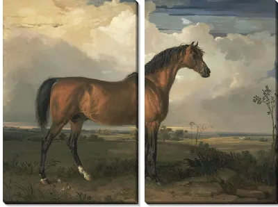 Орел, знаменитый жеребец