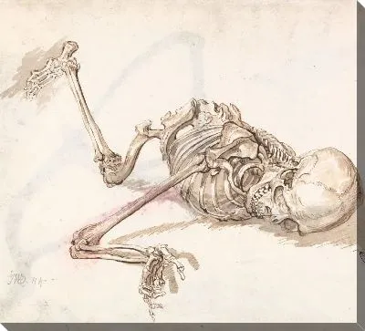 Картина Человеческий скелет