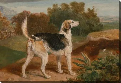 Картина Разрушитель, Один из Ламбтонских Гончих