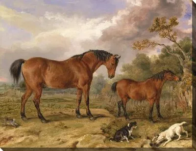 Картина Портрет реформатора, Блюхера, Тори и Шпаргалки, Собственность Роуленда Алстона, эсквайр, М.П.