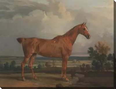 Картина Охотник в пейзаже